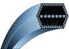 CORREIA AA85 CUTTING 12,7x2159 (LI) ACOMPANHADO A CASTEL GARDEN J92, P92