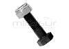 Saco de 10 TAGOS E NUTS (M8 x 30)