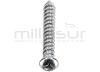 TORNILLO PROTECTOR CADENA ST5X34 MB300 (6) - foto 3