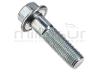 TORNILLO SUJECCION POLEA TENSORA TC92, TC102 ( 07 44 )