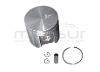 AIP PISTON DOLMAR 100, PS34