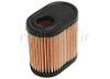 AIR CLEANER TECUMSEH LEV100, LEV115, LEV120, LEV120, PVRM65, TVS115, TVS120