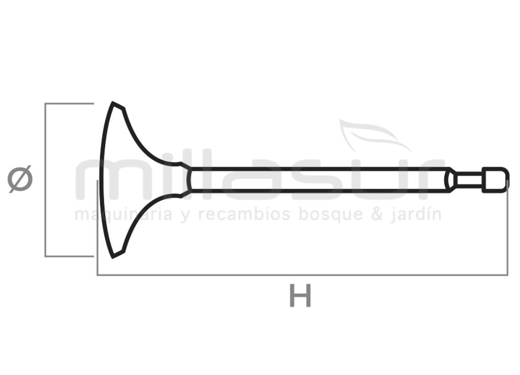 VÁLVULA INTAKE HONDA GX110 - foto 1