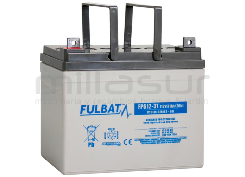 GEL CICLO DE BATERIA FPG12-31 12V 31 Ah.( 195 x 130 x 178 ) - foto 1