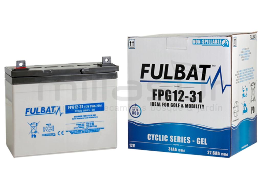 GEL CICLO DE BATERIA FPG12-31 12V 31 Ah.( 195 x 130 x 178 ) - foto 2