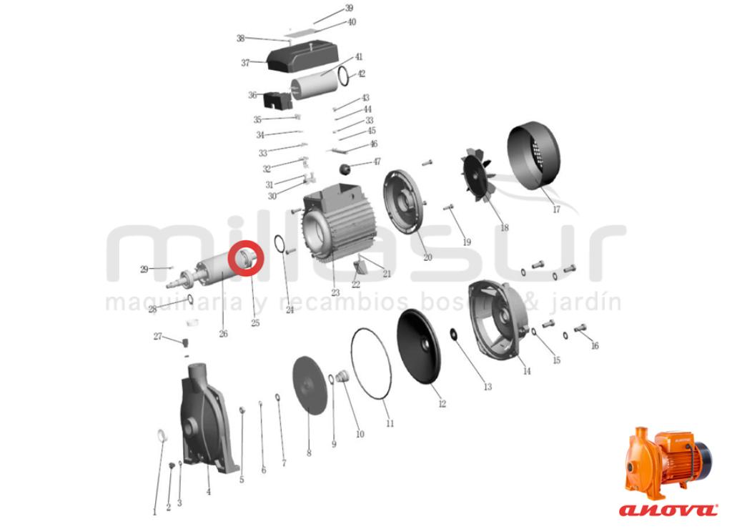 RODAMIENTO EJE ROTOR 6204-ZZ BE1500 (25) - foto 1