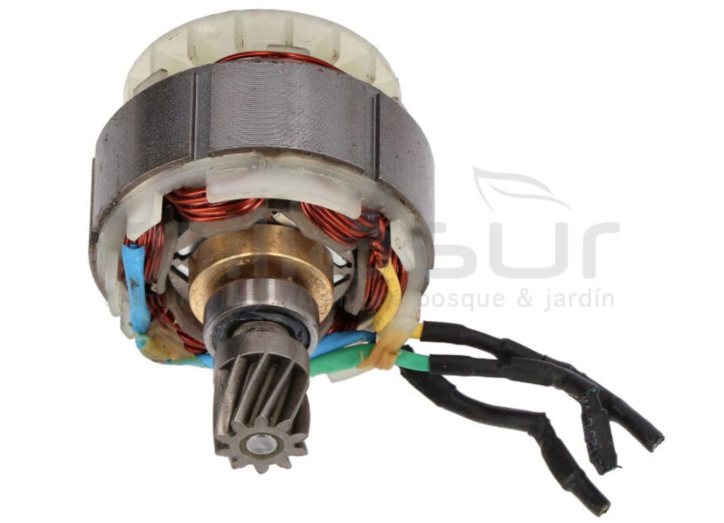 MOTOR MB300 (30) - foto 1