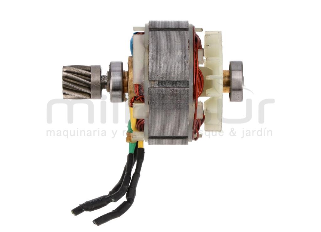 MOTOR MB300 (30) - foto 4