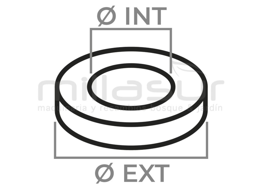 3/8 - 7 COROA (36X24X6,5) - foto 1