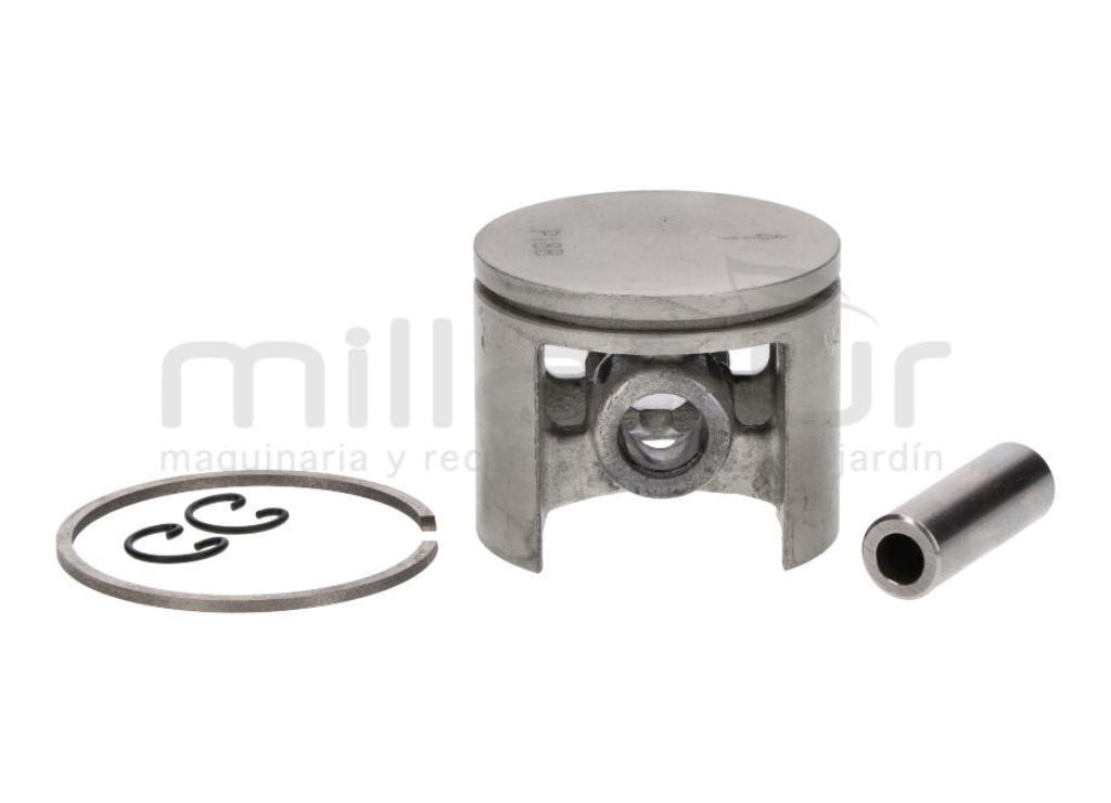AIP PISTON ALPINA 450 - foto 1
