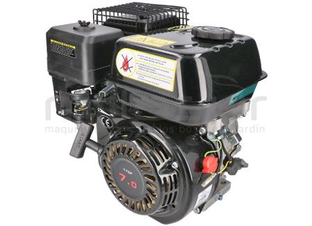 MOTOR COMPLETO 7CV RLT12GVH (49), BIO70 (24)