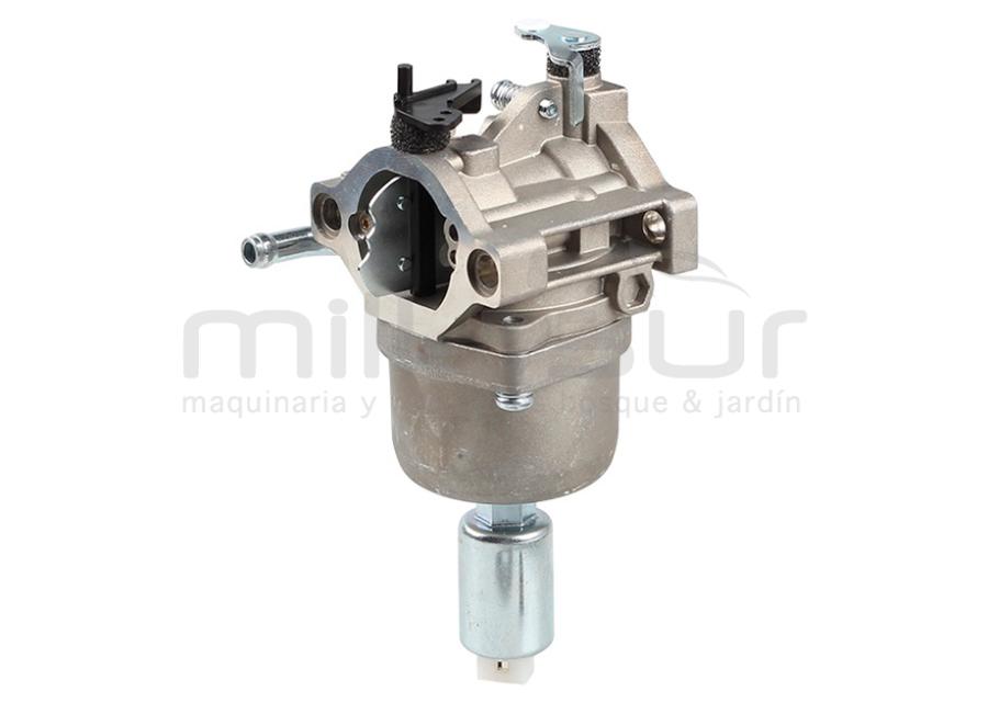 CARBURETTOR ADAPTÁVEL A BRIGGS & STRATTON QUANTUM 5CV 31A, 31CXXX INTEK