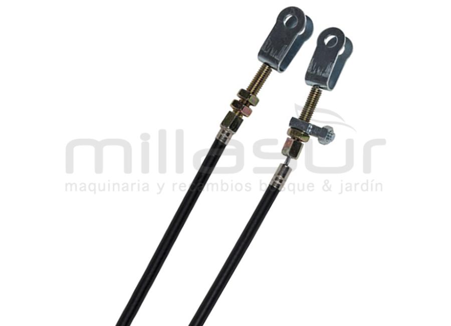 RATOEIRA DO CADÁVER