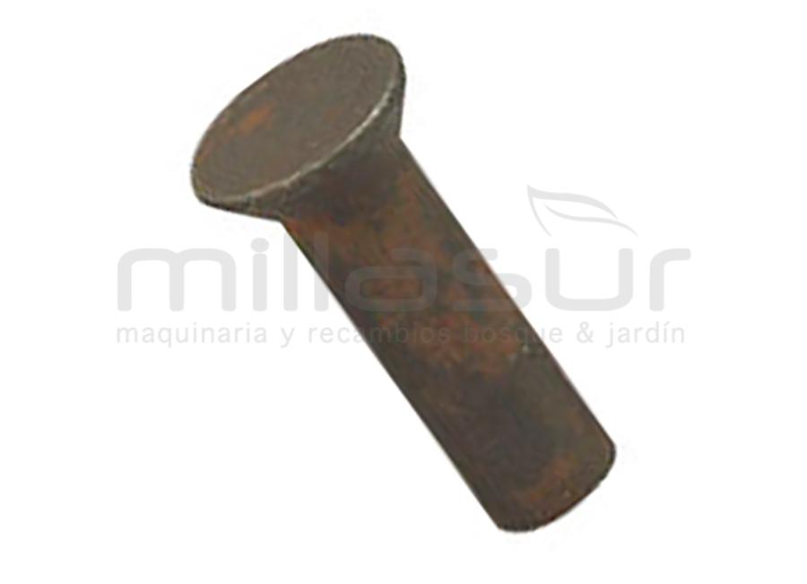 BAG OF 10 ESM PARAFUSO REMACHES (8,4x17x5)