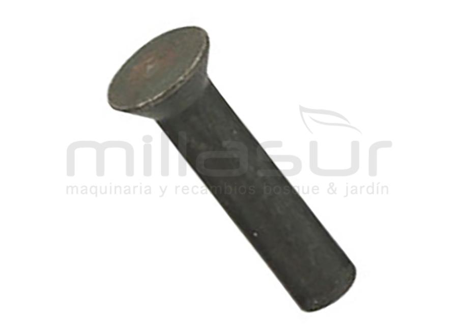 BAG OF 10 ESM PARAFUSO REMACHES (8,7x24x5)