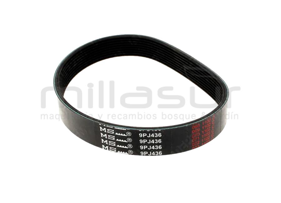 CINTO V 9PJ436 - CINTO V 9PJ436 - CINTO V 9PJ436 - CINTO V 9PJ436 VIKING