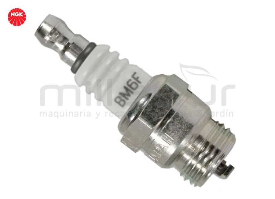 NGK BM6F FICHA GPL