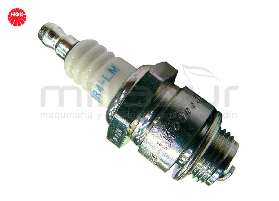 VELAS E MOTORES BR2-LM DA B&S