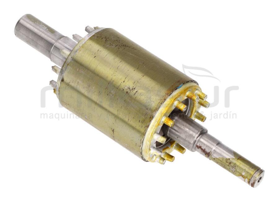 ROTOR MOTOR CA24 - CA50 (41)