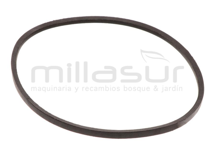 CORREIA CC246T (10), CC251TE (12) 686mm - MODELOS GT