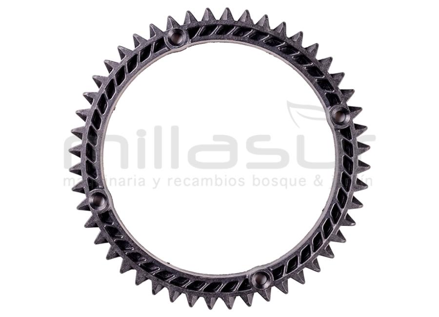 COROA INICIAL