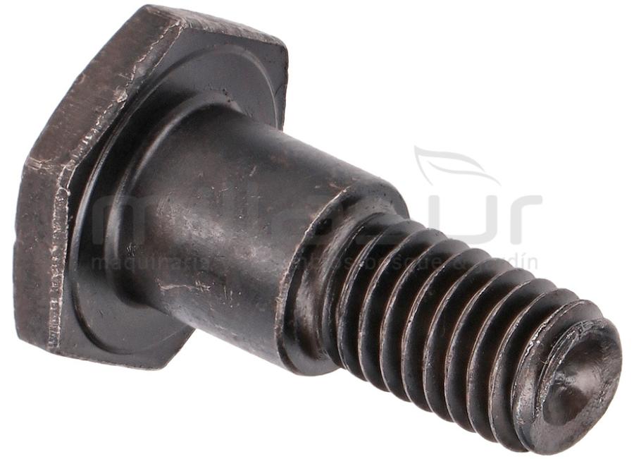 PARAFUSO DE EMBREAGEM D52R (6)