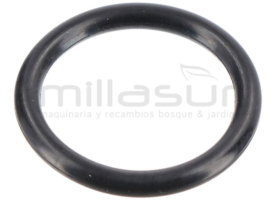 ANEL O-RING DA VÁLVULA HG3000 (B36)