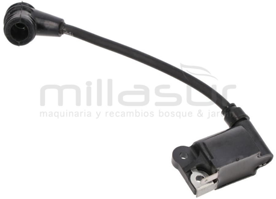 MÓDULO ELECTRÓNICO