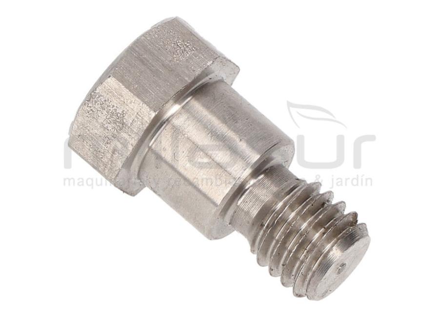 TORNILLO SUJECCION MEMBRANA BOMBA P100-187