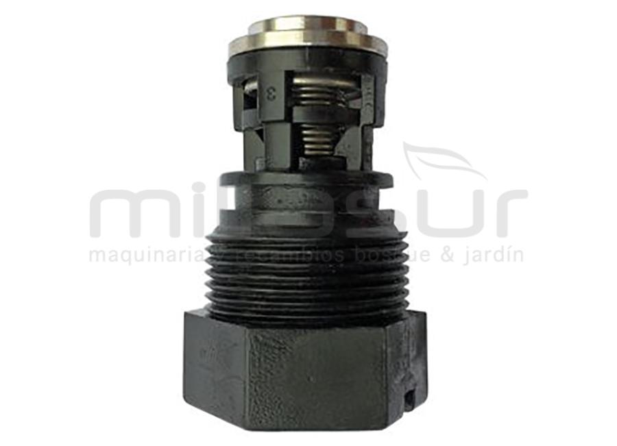 TAPON VALVULA COMPLETA BOMBA P100-187 (201)