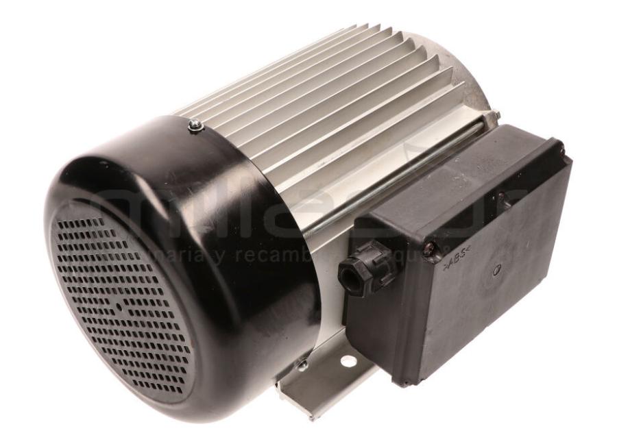 MOTOR ELECTRICO RLT12VH