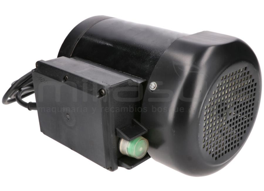 MOTOR COMPLETO