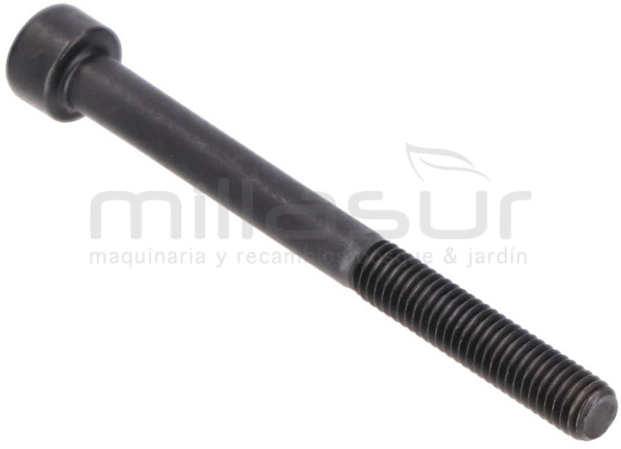 TORNILLO SUJECION ESCAPE M5X55 SG1C, SG2C (A54)