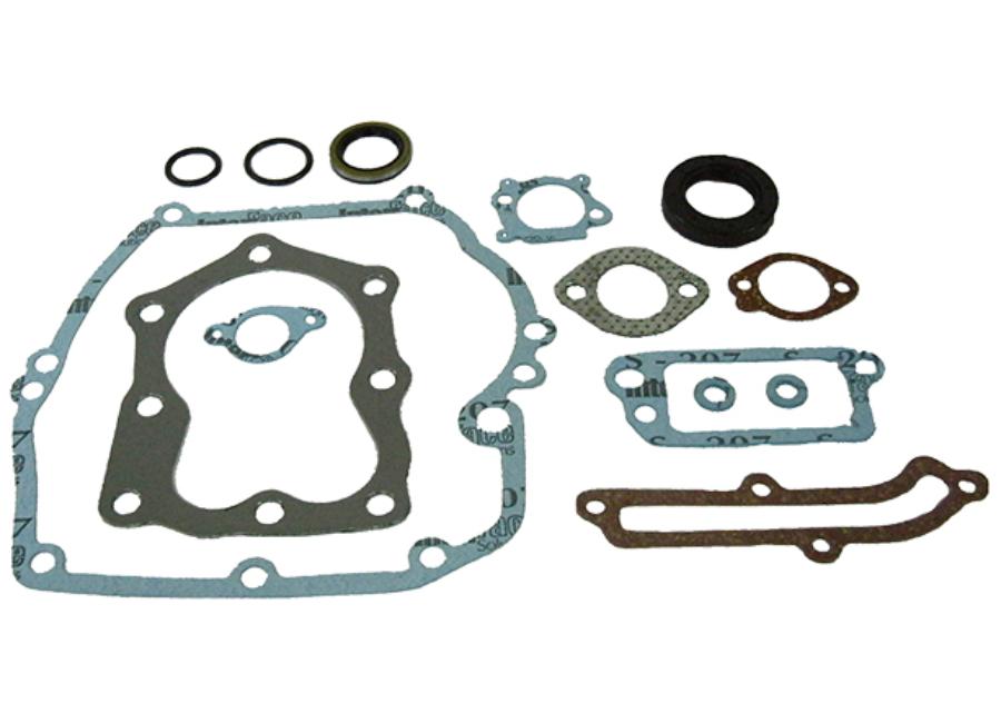 B&S GASKET SET (quantum power xt - xte - xtl )