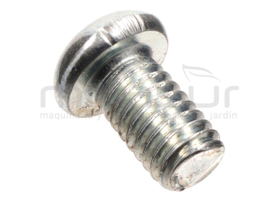 TORNILLO ESTRELLA M6X10 RLT12VH