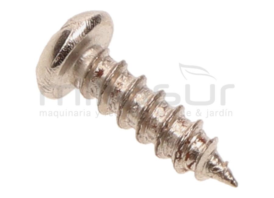 TORNILLO PLATEADO CARCASAS TPB2502